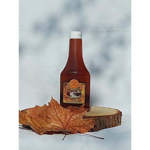 BouteillePlastiqueStyleKetchup