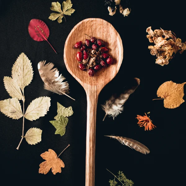 Une cuillère en bois remplie de feuilles sèches et de baies, représentant des épices naturelles.
